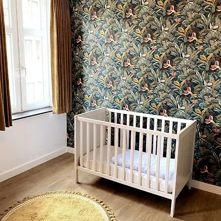 La40 Statig Gerenoveerd Huis In Hartje Nieuwpoort-stad Casa vacanze *